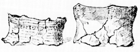 FRAGMENTS OF CLAY POTS