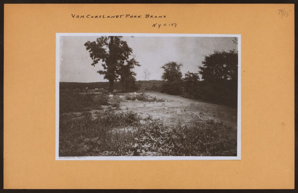 Photo of the burial grounds.