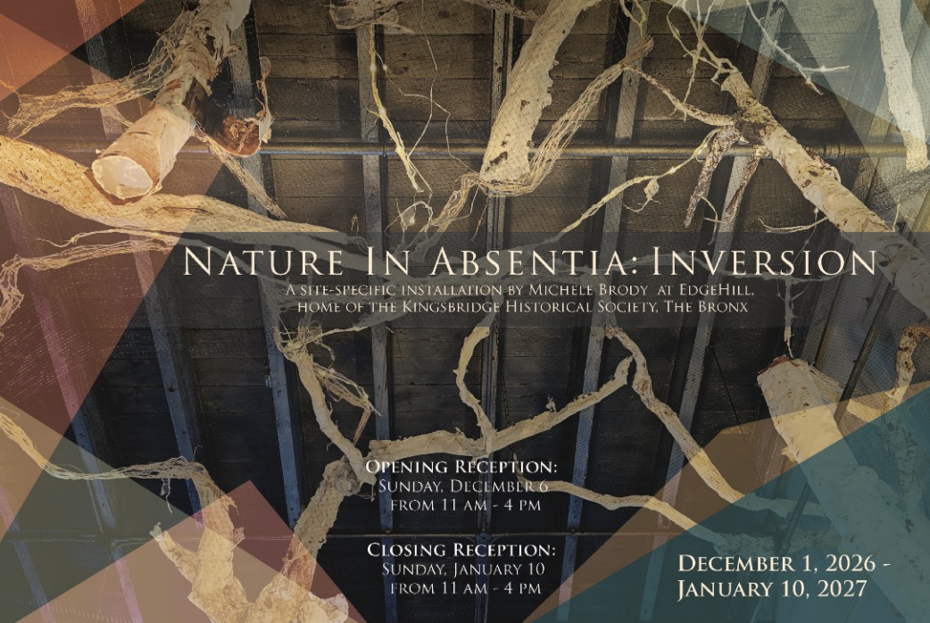 Michele Brody inversion promotional poster