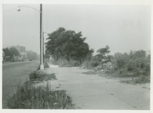 View looking south on Bailey Avenue, 1953.