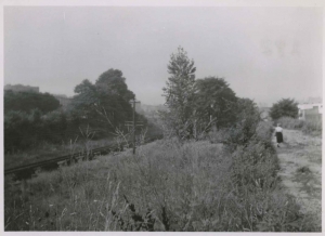 Area between W. 234th and W. 238th Streets where Major Deegan now runs, June, 1953.